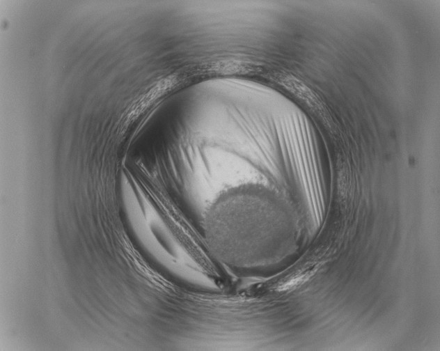 X0000058790393200510211818