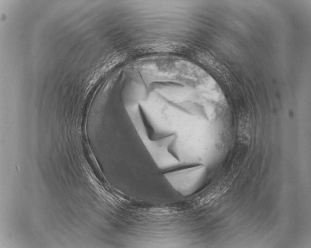 X0000058790394200510211818