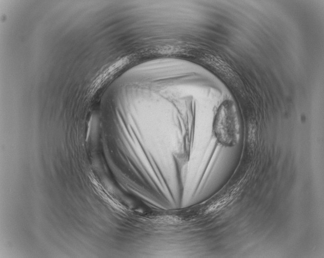 X0000058790397200510211818