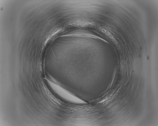 X0000058790399200510211818