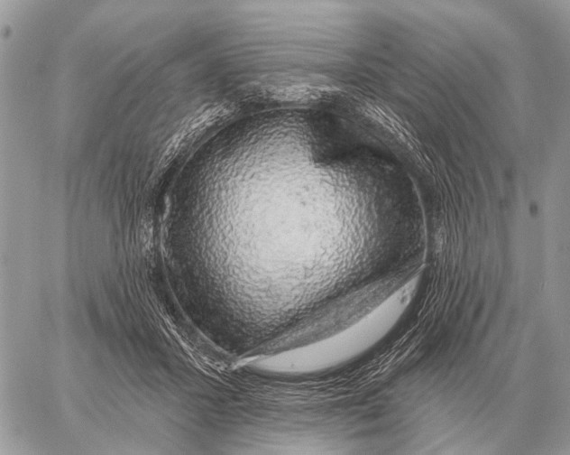 X0000058790407200510211818