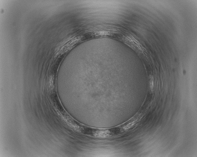 X0000058790410200510211818
