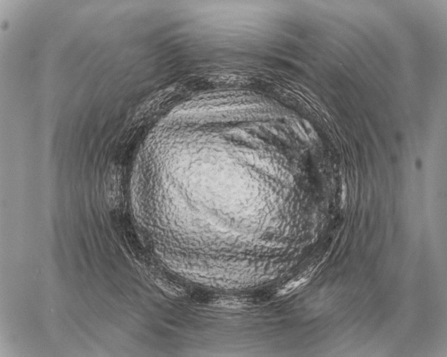 X0000058790416200510211818
