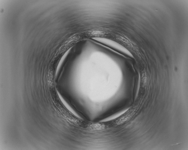 X0000058790421200510211818