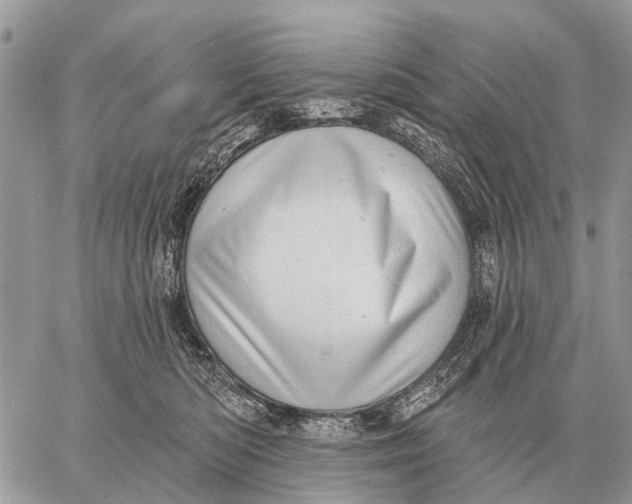 X0000058790422200510211818
