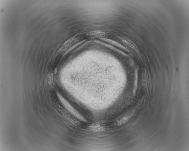 X0000058790425200510211818
