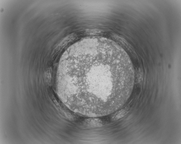 X0000058790427200510211818