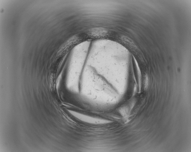 X0000058790428200510211818