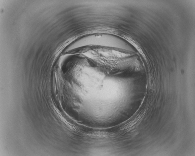 X0000058790437200510211817