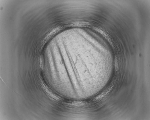 X0000058790445200510211817