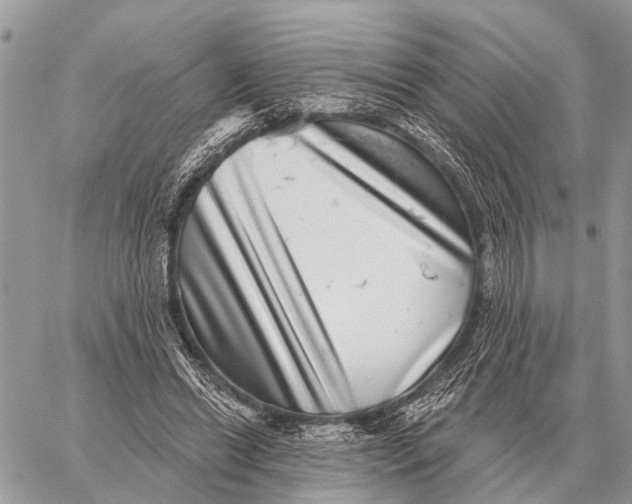 X0000058790446200510211817
