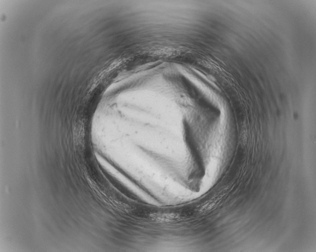 X0000058790448200510211817