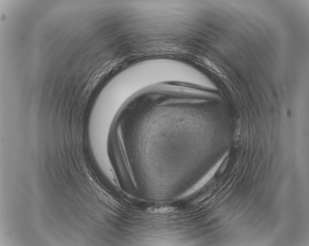 X0000058790452200510211817
