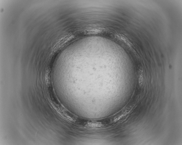 X0000058790455200510211817