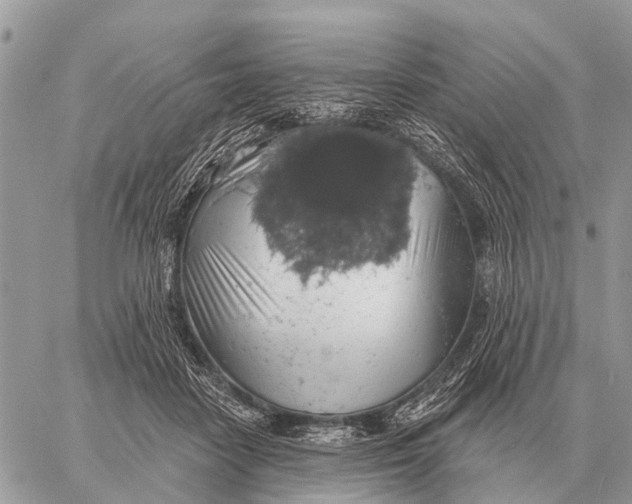 X0000058790458200510211817
