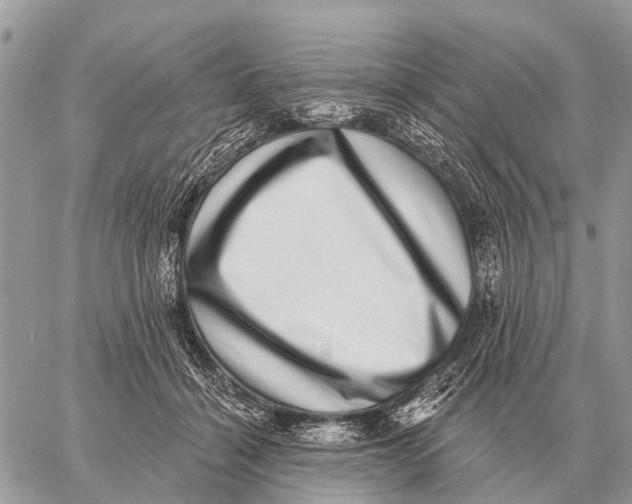 X0000058790460200510211817