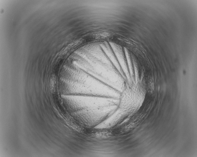 X0000058790468200510211818