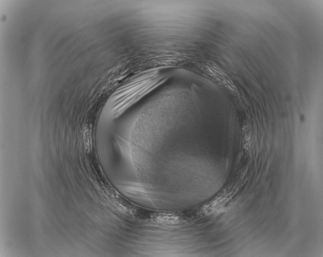 X0000058790471200510211818