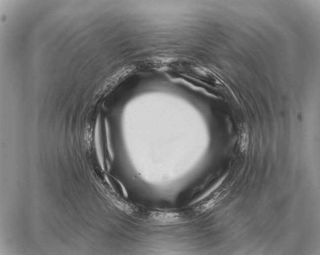 X0000058790476200510211818