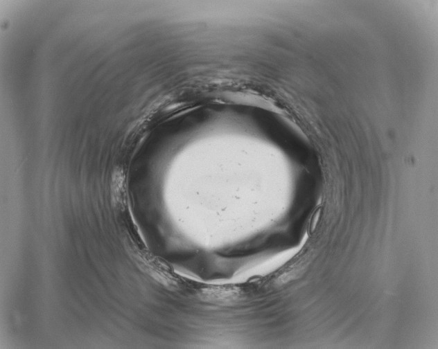 X0000058790480200510211818