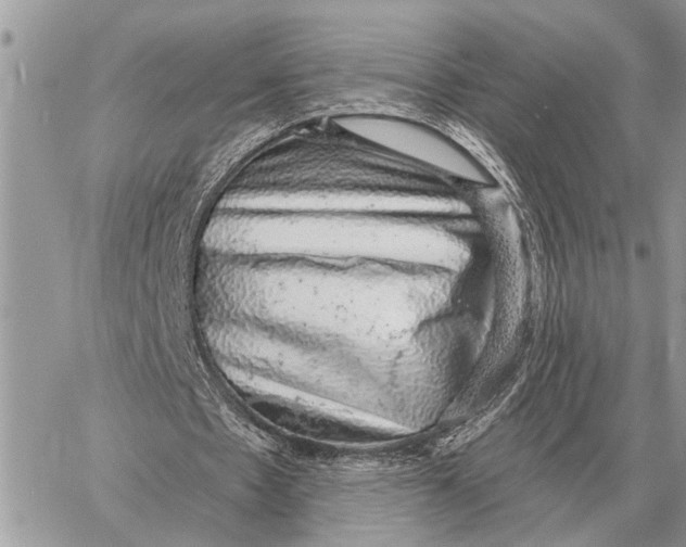 X0000058790481200510211817