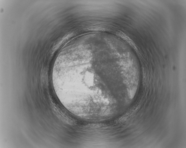 X0000058790482200510211817