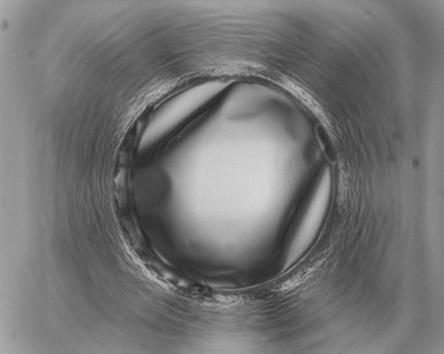 X0000058790485200510211817