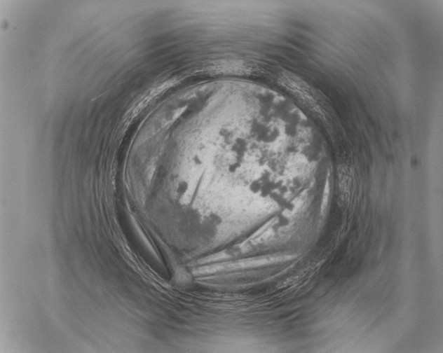 X0000058790487200510211817