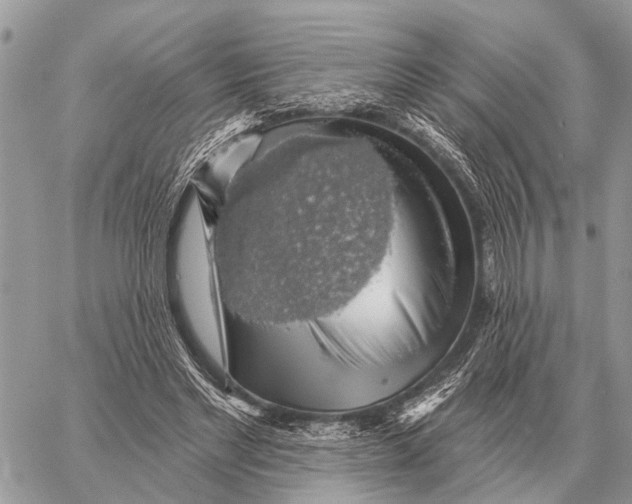 X0000058790493200510211817