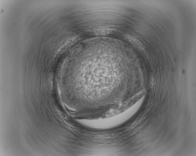 X0000058790501200510211817