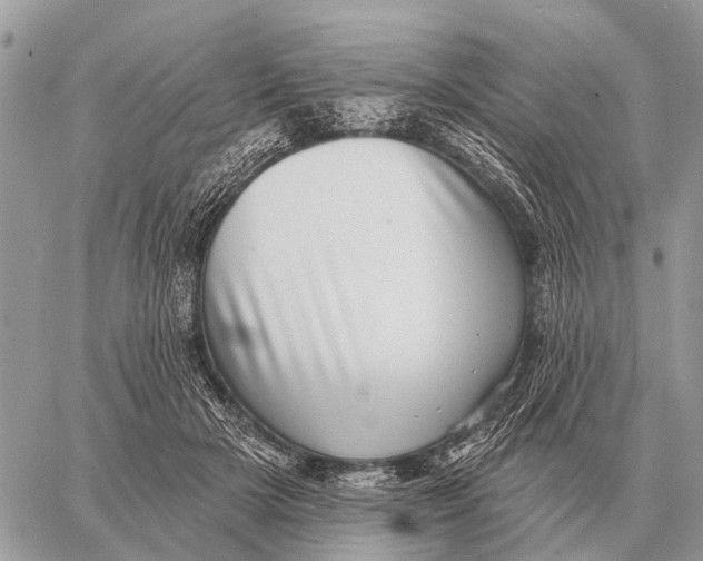 X0000058790505200510211817