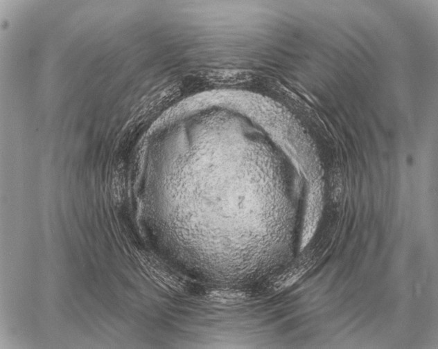 X0000058790515200510211816