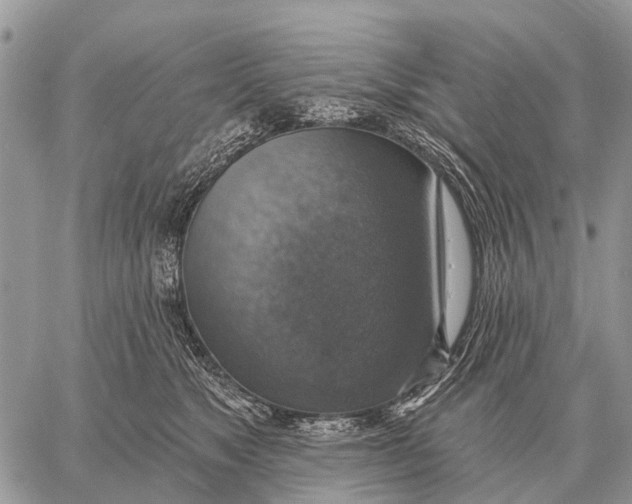 X0000058790517200510211816