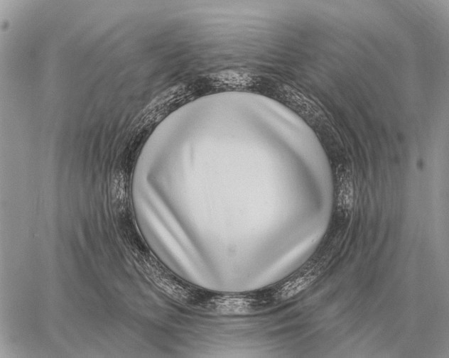 X0000058790518200510211816