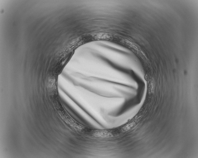 X0000058790521200510211816