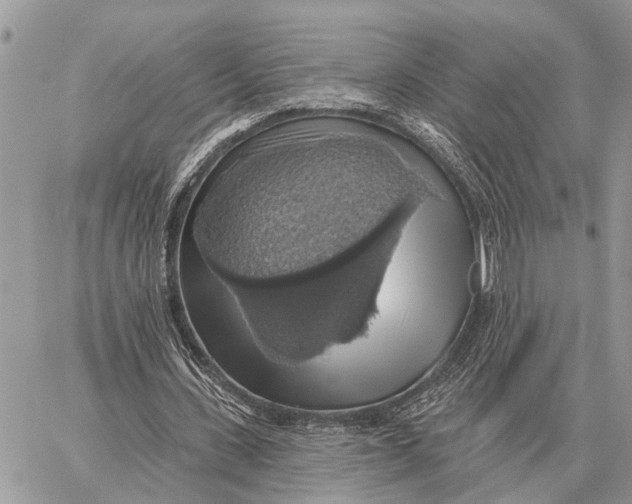X0000058790531200510211815