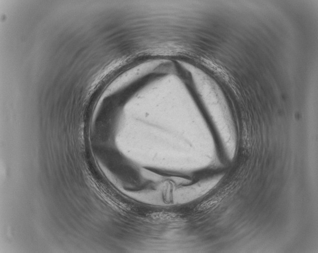 X0000058790535200510211816