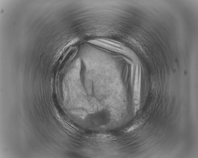 X0000058790542200510211816