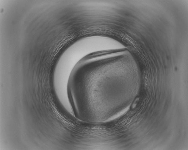 X0000058790546200510211816