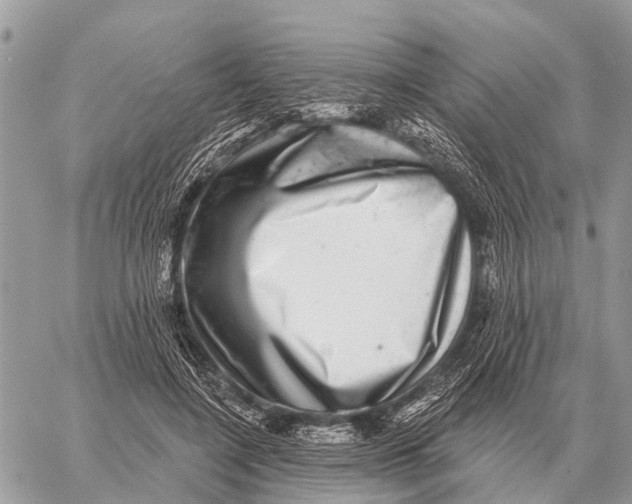X0000058790548200510211816