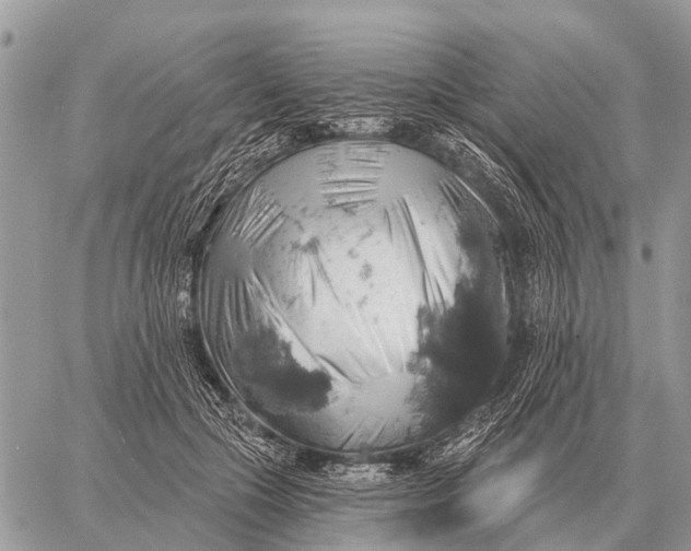 X0000058790553200510211816