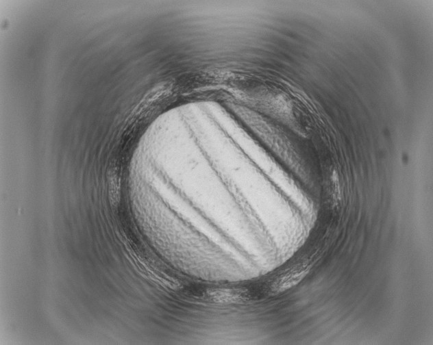 X0000058790558200510211816