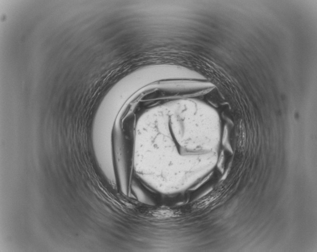 X0000058790562200510211816