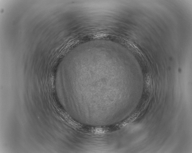 X0000058790565200510211816