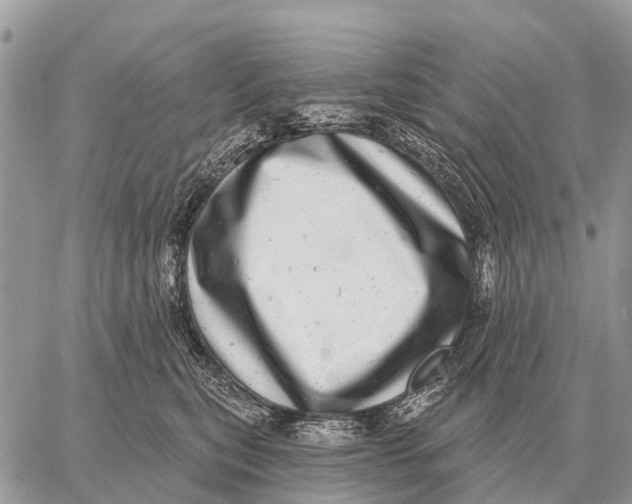 X0000058790567200510211816