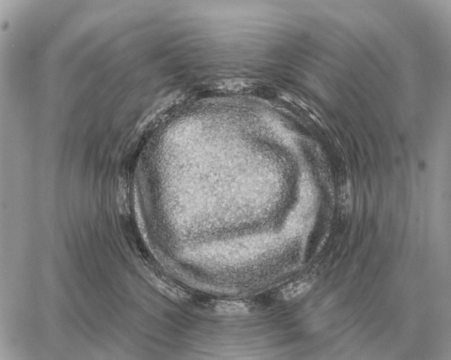 X0000058790572200510211816