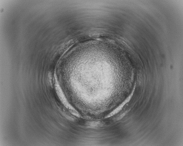 X0000058790575200510211816