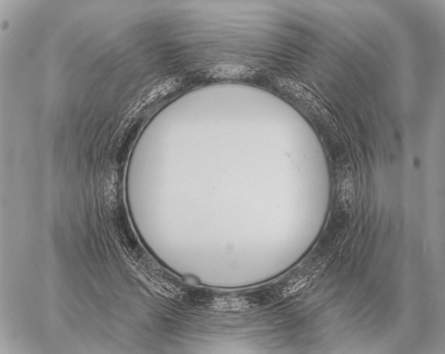 X0000058790591200510211815
