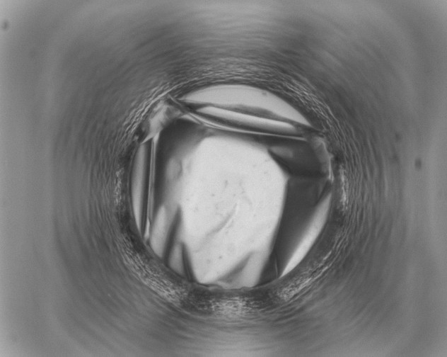 X0000058790600200510211815