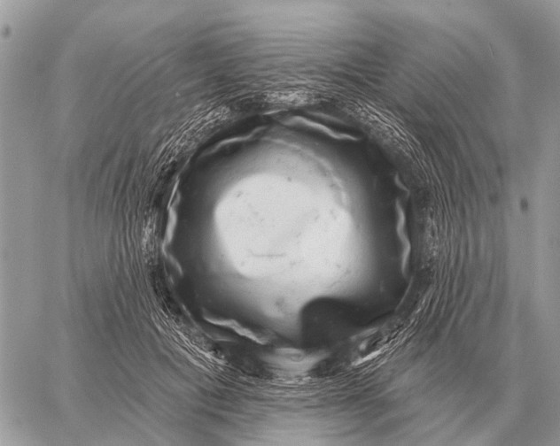 X0000058790601200510211815